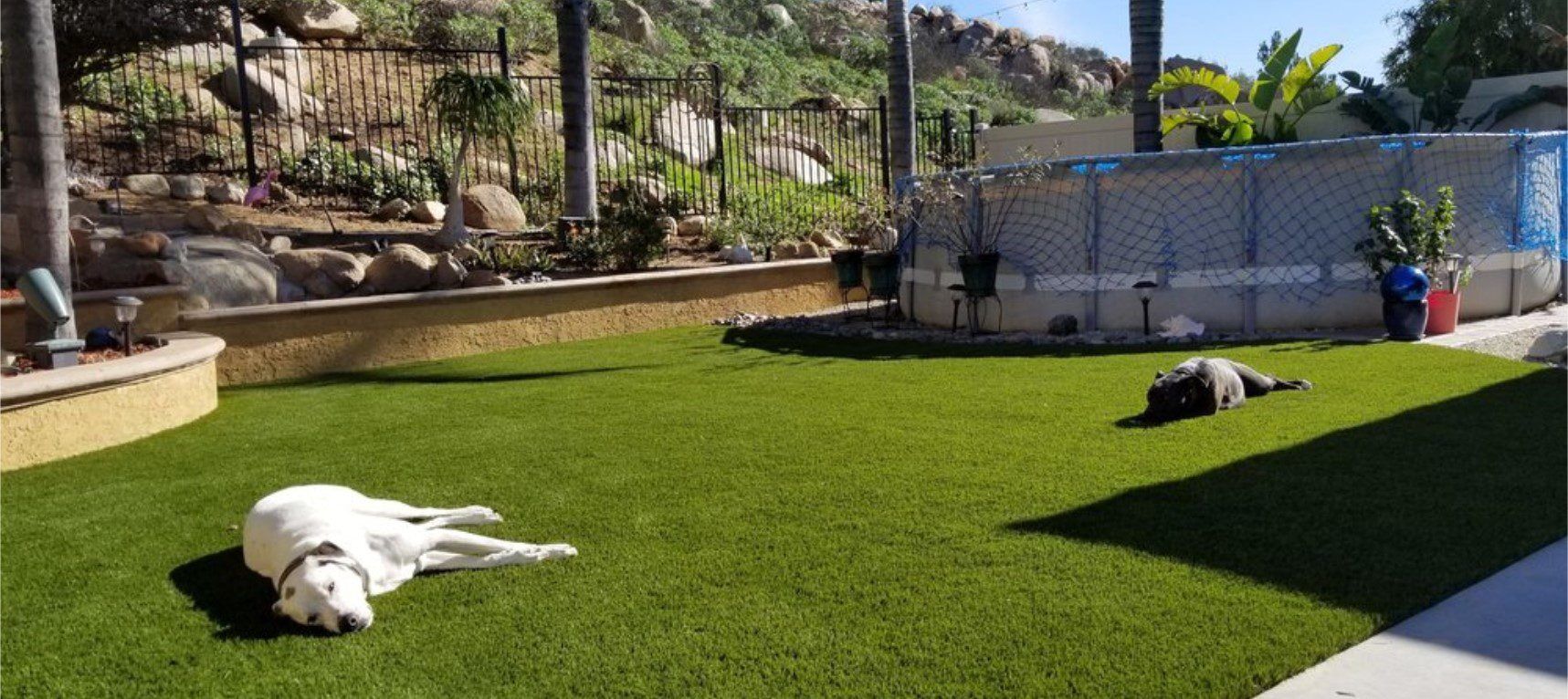 Pet Artificial Grass for kennels, dog runs & parks San Dimas Artificial Grass