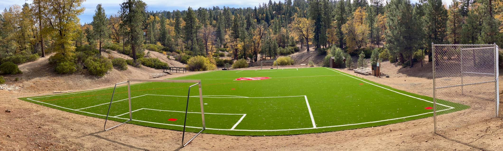 Sports Turf for Gyms, Stadiums, & Play Areas, San Dimas Artificial Grass