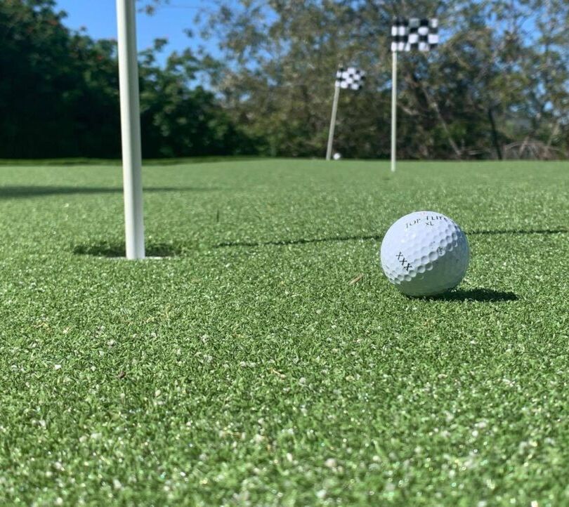 Commercial Artificial Grass Landscape, San Dimas Artificial Grass, Pavers