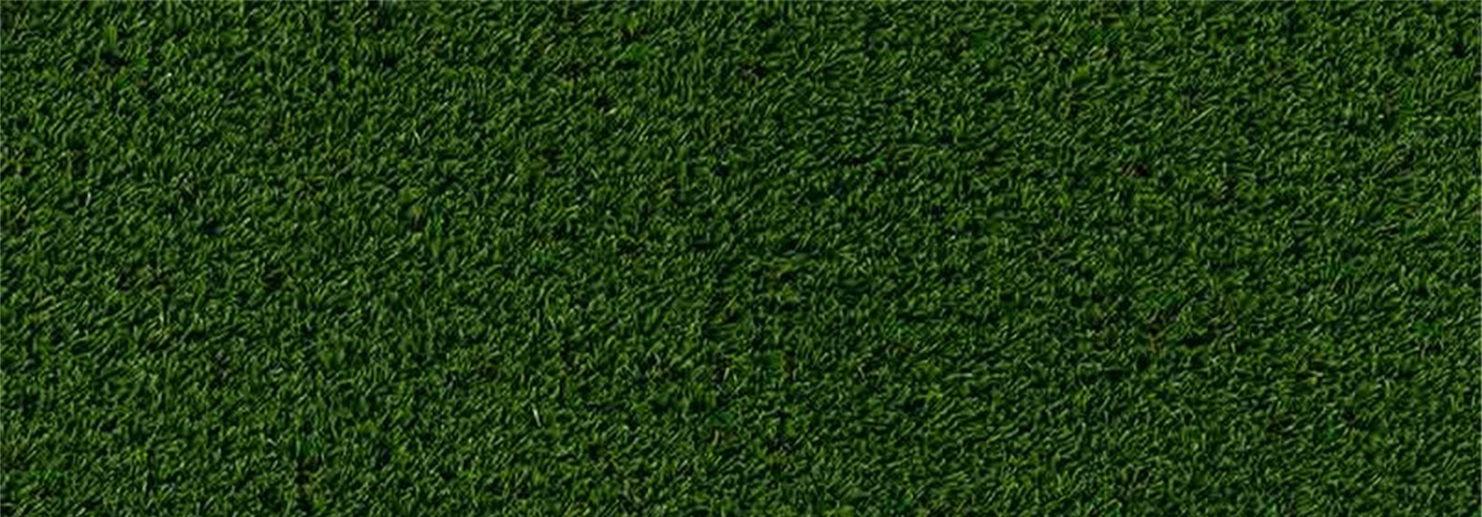 Oakmont Artificial Grass, San Dimas Artificial Grass & Pavers