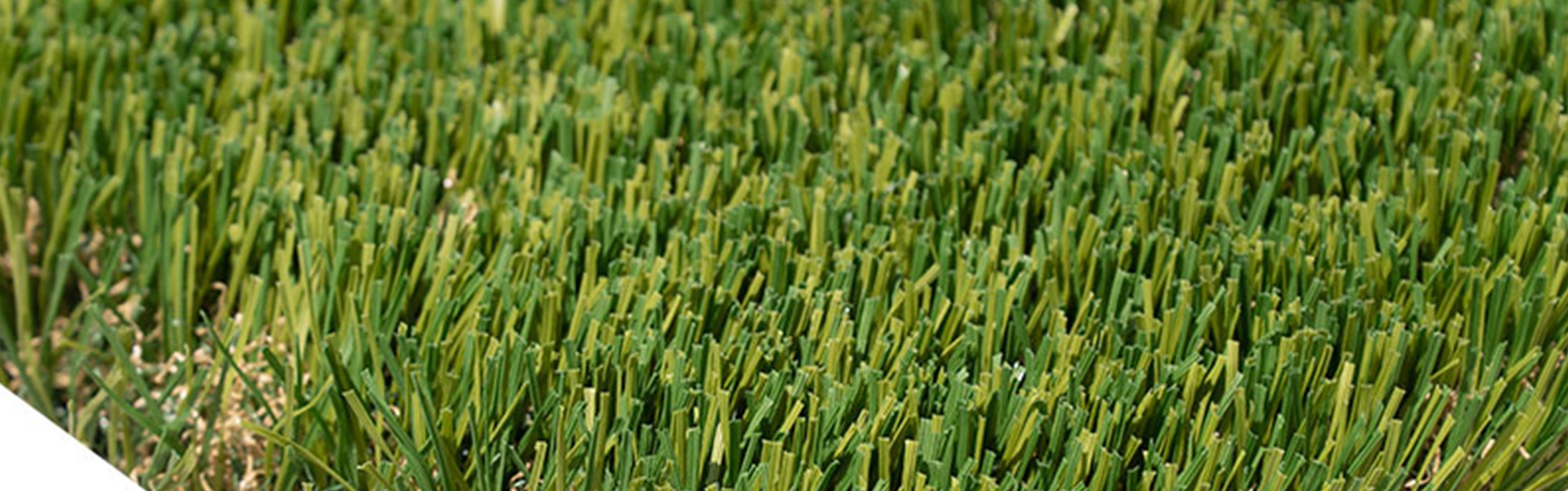 Oakmont Supreme Artificial Turf, San Dimas Artificial Grass